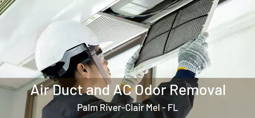 Air Duct and AC Odor Removal Palm River-Clair Mel - FL