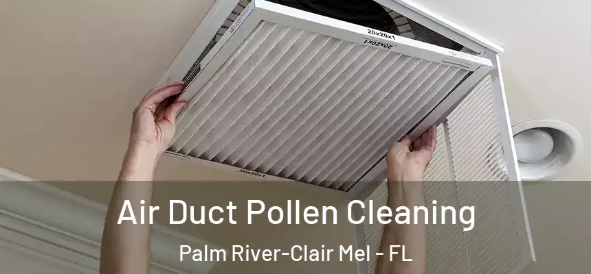 Air Duct Pollen Cleaning Palm River-Clair Mel - FL