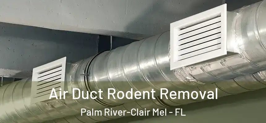 Air Duct Rodent Removal Palm River-Clair Mel - FL