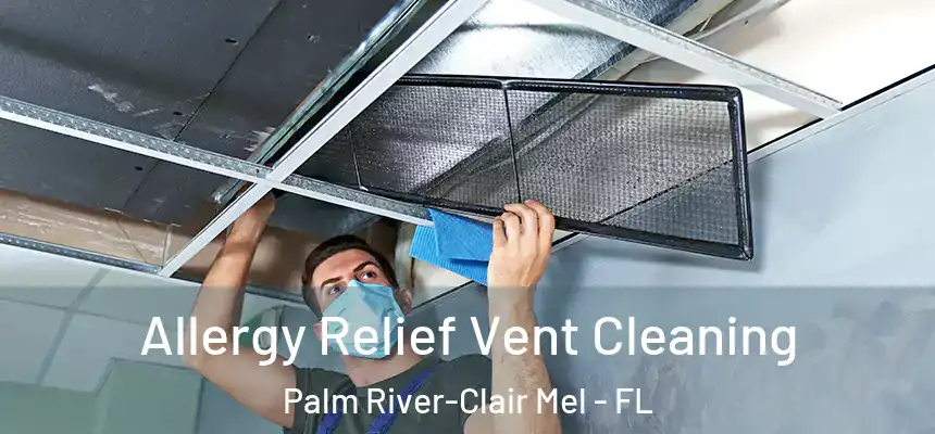 Allergy Relief Vent Cleaning Palm River-Clair Mel - FL
