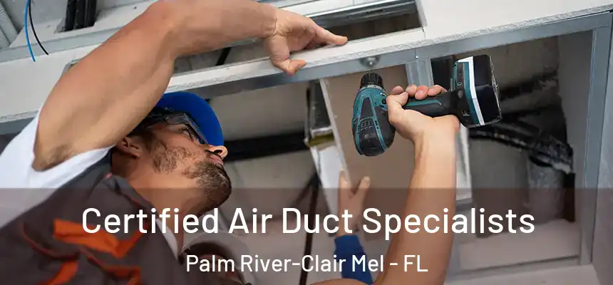 Certified Air Duct Specialists Palm River-Clair Mel - FL
