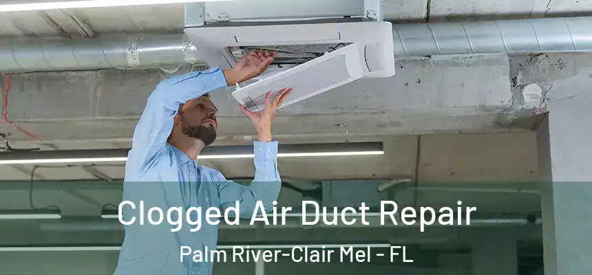 Clogged Air Duct Repair Palm River-Clair Mel - FL