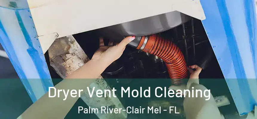 Dryer Vent Mold Cleaning Palm River-Clair Mel - FL