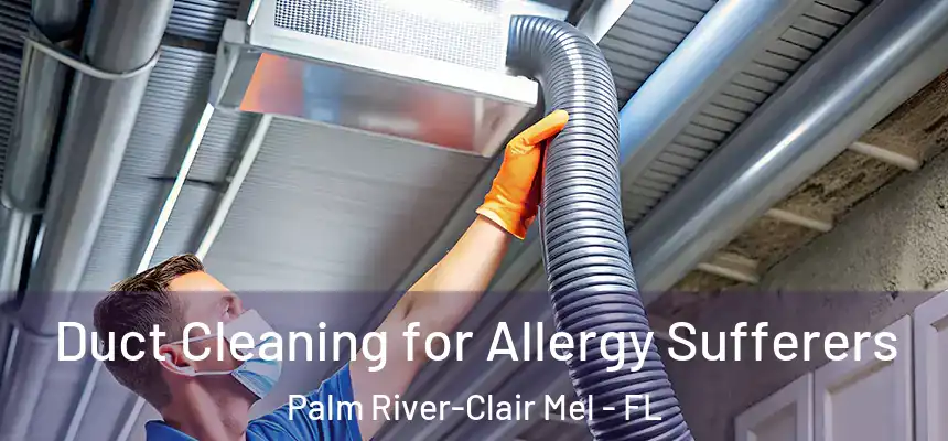 Duct Cleaning for Allergy Sufferers Palm River-Clair Mel - FL