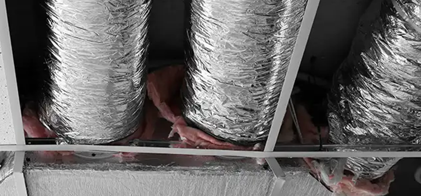 Scalable Commercial Multi‑Unit Dryer Vent Camera Inspection in Palm River-Clair Mel, FL