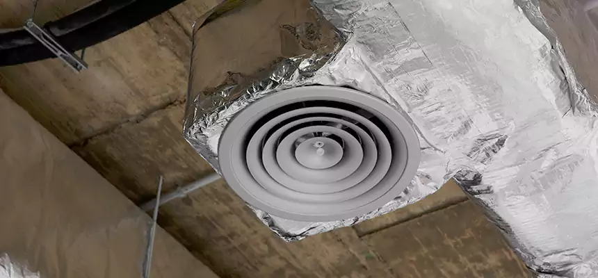 Our Excess Lint Removal from Dryer Ducts Services in Palm River-Clair Mel, FL