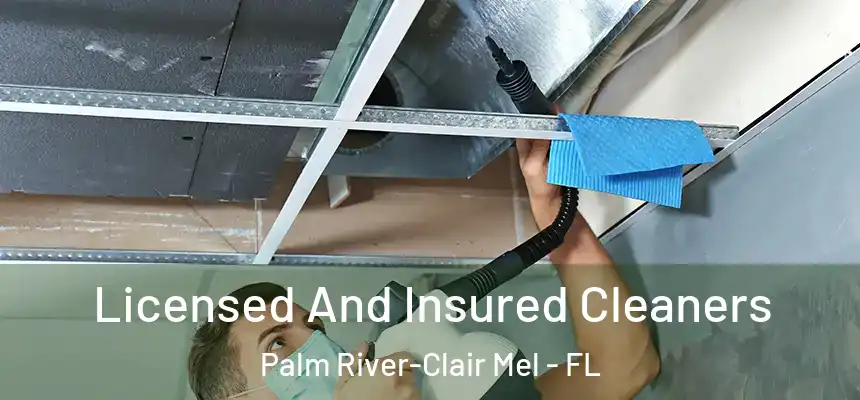 Licensed And Insured Cleaners Palm River-Clair Mel - FL