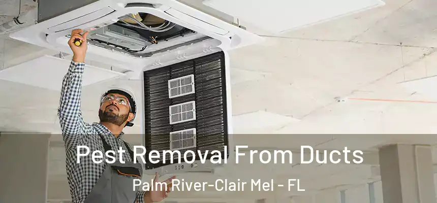Pest Removal From Ducts Palm River-Clair Mel - FL