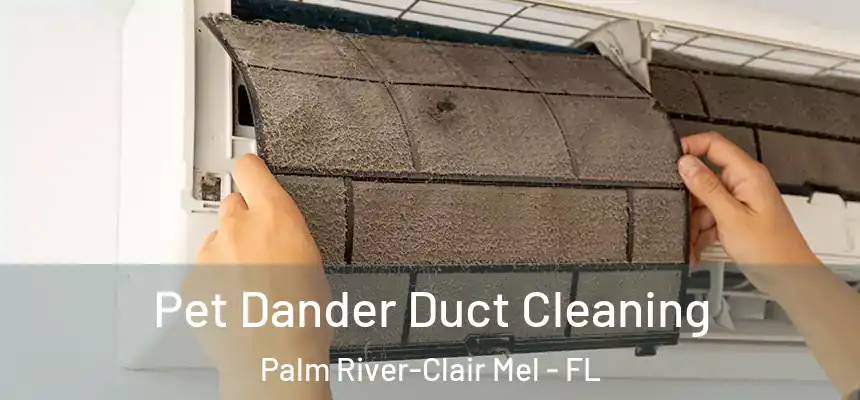 Pet Dander Duct Cleaning Palm River-Clair Mel - FL
