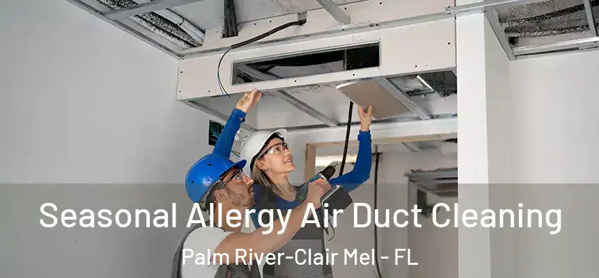 Seasonal Allergy Air Duct Cleaning Palm River-Clair Mel - FL