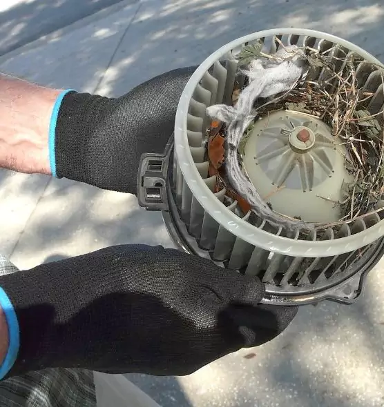 About Air Duct Mice Removal in Palm River-Clair Mel, FL