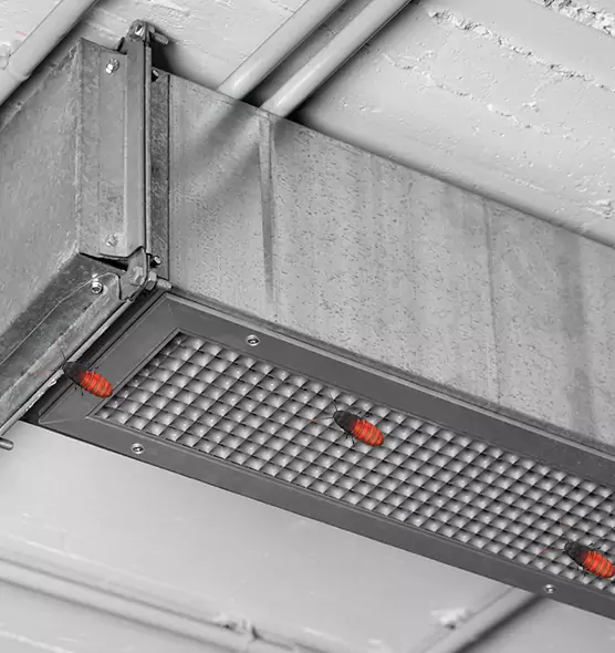 Affordable Insect Removal from Air Ducts in Palm River-Clair Mel, FL
