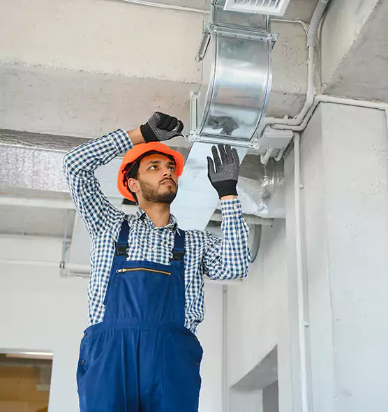 Affordable Lint Buildup Removal in Palm River-Clair Mel, FL