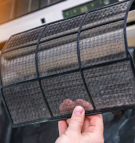 About Pet Dander Duct Cleaning in Palm River-Clair Mel, FL